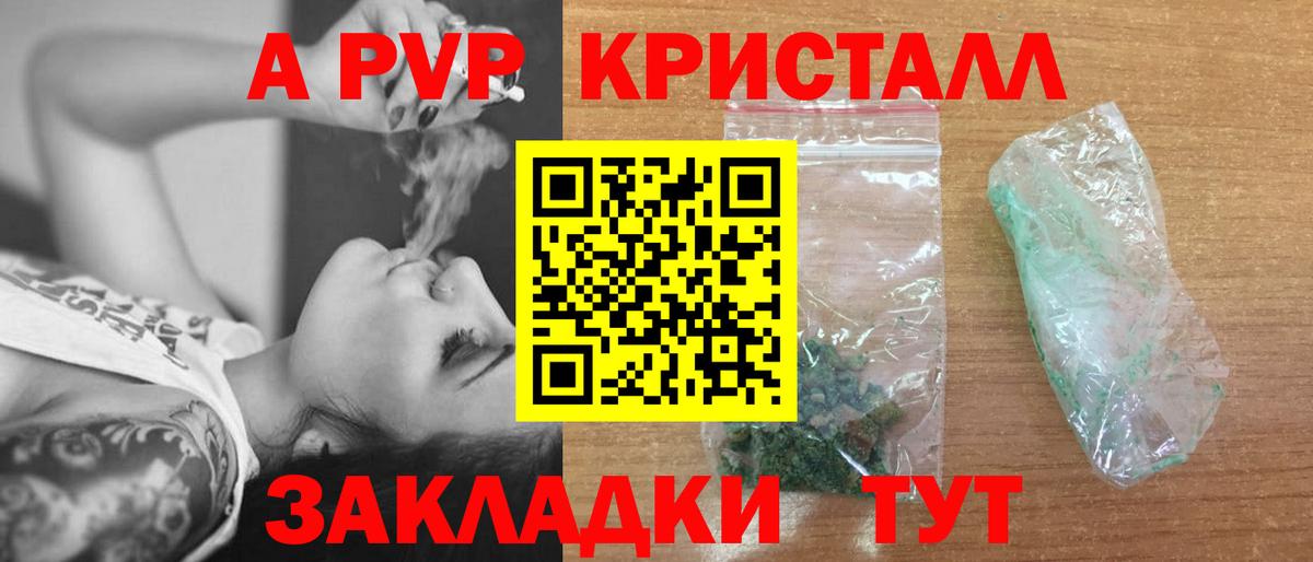A PVP СК КРИС Гудермес