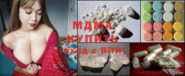 прущие грибы Апатиты
