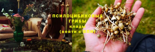 шишки Армянск