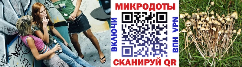 darknet телеграм  Гудермес  Галлюциногенные грибы Magic Shrooms 