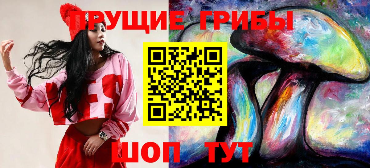 Псилоцибиновые грибы прущие грибы Гудермес