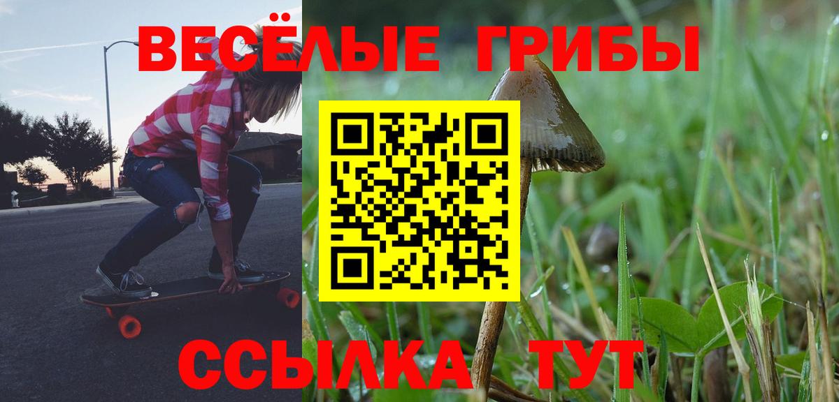 Псилоцибиновые грибы Magic Shrooms  Вход с VPN  Гудермес 