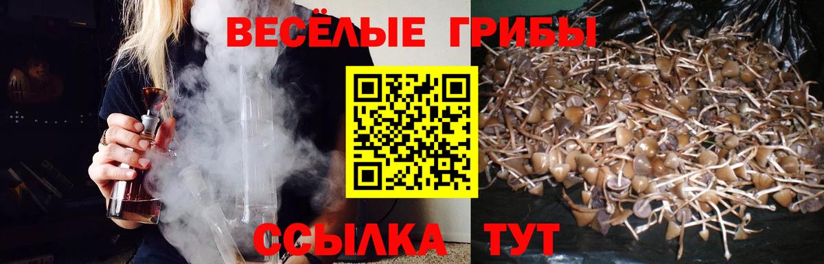 Псилоцибиновые грибы GOLDEN TEACHER Гудермес